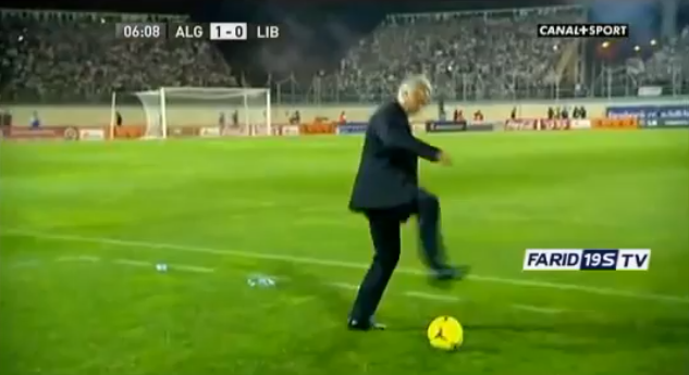 Vahid Halilhodzic, Trixar, Algeriet